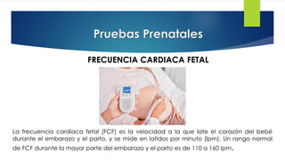 Comprehensive Overview of the Gestation Process and Labor Factors | PDF
