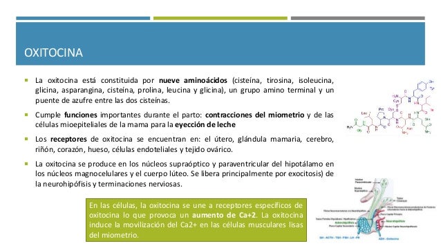 Trabajo De Parto Y Oxitocina