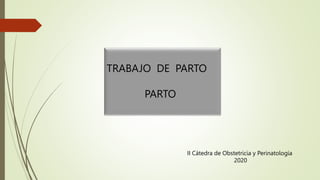TRABAJO DE PARTO
PARTO
II Cátedra de Obstetricia y Perinatología
2020
 