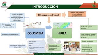 Monitoreo A Las Estrategias Usadas En El Plan De Restauración De Bosque Seco Tropical De La Central Hidroeléctrica El Quimbo En El Agrado-Huila (Fase II).
