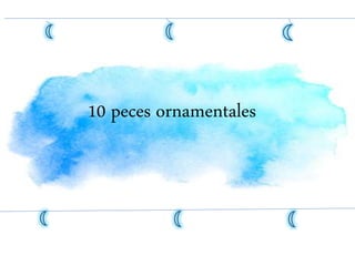 10 peces ornamentales
,
.
-
 