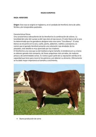 RAZAS EUROPEAS
RAZA: HEREFORD
Origen: Esta raza se originó en Inglaterra, en el condado de Hereford, tierra de valles
fértiles y de inmejorables pastizales.
Características físicas
Una característica sobresaliente de los Hereford es la combinación de colores. La
tonalidad del color del cuerpo va del rojo claro al rojo oscuro. El color blanco de la cara
ha determinado que los ganaderos designen esta raza como “Cara Blanca”. El color
blanco se encuentra en la cara, cuello, pecho, abdomen, rodillas y corvejones; es
común que el ganado Hereford presente una coloración roja alrededor de los
párpados, este detalle es muy apreciado por los criadores.
El Hereford es una raza que va del mediano al gran tamaño; la tendencia en su crianza
es obtener ganado más compacto, de líneas sanguíneas más cerradas, de madurez
precoz y de extremidades cortas. Es rústico y gran parte de su reputación estriba en la
capacidad que tiene para recorrer los potreros y así obtener su alimento. Últimamente
se ha dado mayor importancia al tamaño y crecimiento.
 Buena producción de carne
 