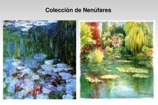 Colección de Nenúfares
 