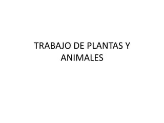 TRABAJO DE PLANTAS Y
     ANIMALES
 