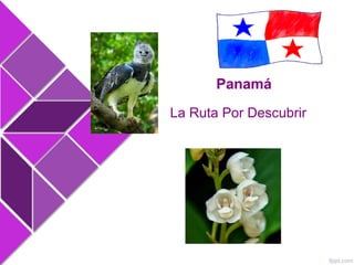 La Ruta Por Descubrir
Panamá
 