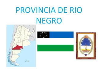 PROVINCIA DE RIO
NEGRO
 