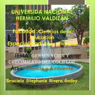 Ciencias de la
          Educación
              : Educ. Primaria




Graciela Stephanie Rivera Godoy
 