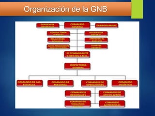 Organización de la GNB
 