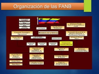 Organización de las FANB
 