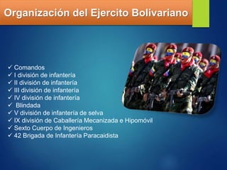 Organización del Ejercito Bolivariano
 Comandos
 I división de infantería
 II división de infantería
 III división de infantería
 IV división de infantería
 Blindada
 V división de infantería de selva
 IX división de Caballería Mecanizada e Hipomóvil
 Sexto Cuerpo de Ingenieros
 42 Brigada de Infantería Paracaidista
 