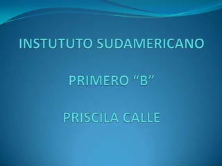 INSTUTUTO SUDAMERICANOPRIMERO “B”PRISCILA CALLE 