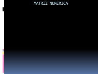 MATRIZ NUMERICA