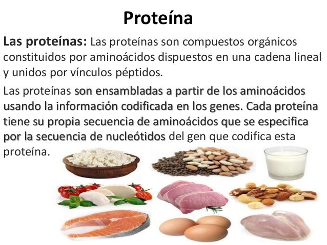 proteinas