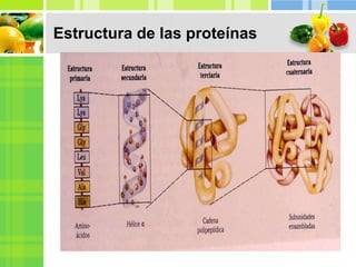 Estructura de las proteínas
 