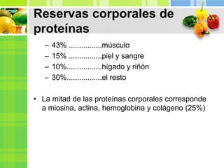 Reservas corporales de
proteínas
– 43% ................músculo
– 15% ................piel y sangre
– 10%.................hígado y riñón
– 30%.................el resto
• La mitad de las proteínas corporales corresponde
a miosina, actina, hemoglobina y colágeno (25%)
 