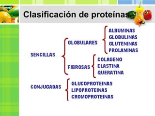 Clasificación de proteínas
 