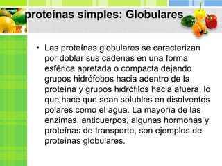 proteínas simples: Globulares
• Las proteínas globulares se caracterizan
por doblar sus cadenas en una forma
esférica apretada o compacta dejando
grupos hidrófobos hacia adentro de la
proteína y grupos hidrófilos hacia afuera, lo
que hace que sean solubles en disolventes
polares como el agua. La mayoría de las
enzimas, anticuerpos, algunas hormonas y
proteínas de transporte, son ejemplos de
proteínas globulares.
 
