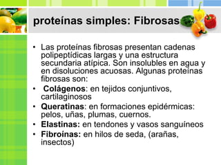 proteínas simples: Fibrosas
• Las proteínas fibrosas presentan cadenas
polipeptídicas largas y una estructura
secundaria atípica. Son insolubles en agua y
en disoluciones acuosas. Algunas proteínas
fibrosas son:
• Colágenos: en tejidos conjuntivos,
cartilaginosos
• Queratinas: en formaciones epidérmicas:
pelos, uñas, plumas, cuernos.
• Elastinas: en tendones y vasos sanguíneos
• Fibroínas: en hilos de seda, (arañas,
insectos)
 