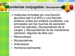 proteínas conjugadas: Glucoproteínas
 moléculas formadas por una fracción
glucídica (del 5 al 40%) y una fracción
proteica unidas por enlaces covalentes. Las
principales son las mucinas de secreción
como las salivales, Glucoproteinas de la
sangre, y Glucoproteinas de las membranas
celulares. Algunas de ellas son:
• Ribonucleasa
• Mucoproteínas
• Anticuerpos
• Hormona luteinizante
 