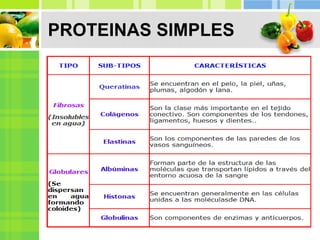 PROTEINAS SIMPLES
 