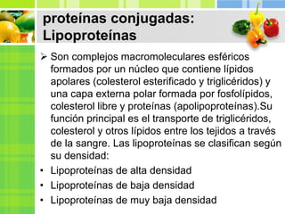 proteínas conjugadas:
Lipoproteínas
 Son complejos macromoleculares esféricos
formados por un núcleo que contiene lípidos
apolares (colesterol esterificado y triglicéridos) y
una capa externa polar formada por fosfolípidos,
colesterol libre y proteínas (apolipoproteínas).Su
función principal es el transporte de triglicéridos,
colesterol y otros lípidos entre los tejidos a través
de la sangre. Las lipoproteínas se clasifican según
su densidad:
• Lipoproteínas de alta densidad
• Lipoproteínas de baja densidad
• Lipoproteínas de muy baja densidad
 