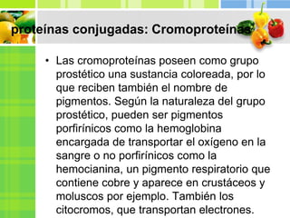 proteínas conjugadas: Cromoproteínas
• Las cromoproteínas poseen como grupo
prostético una sustancia coloreada, por lo
que reciben también el nombre de
pigmentos. Según la naturaleza del grupo
prostético, pueden ser pigmentos
porfirínicos como la hemoglobina
encargada de transportar el oxígeno en la
sangre o no porfirínicos como la
hemocianina, un pigmento respiratorio que
contiene cobre y aparece en crustáceos y
moluscos por ejemplo. También los
citocromos, que transportan electrones.
 