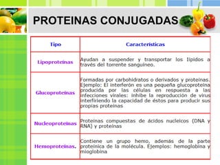 PROTEINAS CONJUGADAS
 