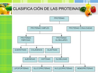 CLASIFICA CIÓN DE LAS PROTEINAS
 