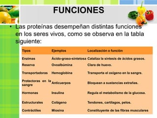 FUNCIONES
• Las proteínas desempeñan distintas funciones
en los seres vivos, como se observa en la tabla
siguiente:
Tipos Ejemplos Localización o función
Enzimas Ácido-graso-sintetosa Cataliza la síntesis de ácidos grasos.
Reserva Ovoalbúmina Clara de huevo.
Transportadoras Hemoglobina Transporta el oxígeno en la sangre.
Protectoras en la
sangre
Anticuerpos Bloquean a sustancias extrañas.
Hormonas Insulina Regula el metabolismo de la glucosa.
Estructurales Colágeno Tendones, cartílagos, pelos.
Contráctiles Miosina Constituyente de las fibras musculares
 