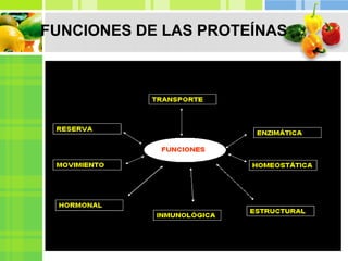 FUNCIONES DE LAS PROTEÍNAS
 