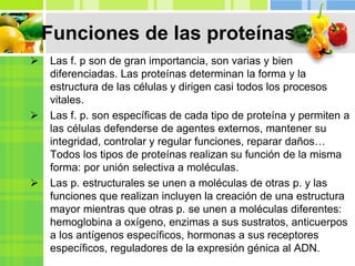 Funciones de las proteínas
 Las f. p son de gran importancia, son varias y bien
diferenciadas. Las proteínas determinan la forma y la
estructura de las células y dirigen casi todos los procesos
vitales.
 Las f. p. son específicas de cada tipo de proteína y permiten a
las células defenderse de agentes externos, mantener su
integridad, controlar y regular funciones, reparar daños…
Todos los tipos de proteínas realizan su función de la misma
forma: por unión selectiva a moléculas.
 Las p. estructurales se unen a moléculas de otras p. y las
funciones que realizan incluyen la creación de una estructura
mayor mientras que otras p. se unen a moléculas diferentes:
hemoglobina a oxígeno, enzimas a sus sustratos, anticuerpos
a los antígenos específicos, hormonas a sus receptores
específicos, reguladores de la expresión génica al ADN.
 