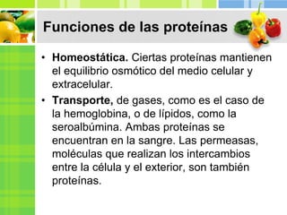 • Homeostática. Ciertas proteínas mantienen
el equilibrio osmótico del medio celular y
extracelular.
• Transporte, de gases, como es el caso de
la hemoglobina, o de lípidos, como la
seroalbúmina. Ambas proteínas se
encuentran en la sangre. Las permeasas,
moléculas que realizan los intercambios
entre la célula y el exterior, son también
proteínas.
Funciones de las proteínas
 
