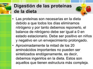 Digestión de las proteínas
de la dieta
• Las proteínas son necesarias en la dieta
debido a que todos los días eliminamos
nitrógeno y por tanto debemos reponerlo, el
balance de nitrógeno debe ser igual a 0 en
estado estacionario. Debe ser positivo en niños
y negativo en un envejecimiento prolongado.
• Aproximadamente la mitad de los 20
aminoácidos importantes no pueden ser
sintetizados endógenamente, es decir,
debemos ingerirlos en la dieta. Estos son
aquellos que tienen estructura más compleja.
 