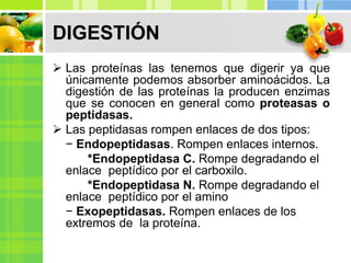 DIGESTIÓN
 Las proteínas las tenemos que digerir ya que
únicamente podemos absorber aminoácidos. La
digestión de las proteínas la producen enzimas
que se conocen en general como proteasas o
peptidasas.
 Las peptidasas rompen enlaces de dos tipos:
− Endopeptidasas. Rompen enlaces internos.
*Endopeptidasa C. Rompe degradando el
enlace peptídico por el carboxilo.
*Endopeptidasa N. Rompe degradando el
enlace peptídico por el amino
− Exopeptidasas. Rompen enlaces de los
extremos de la proteína.
 
