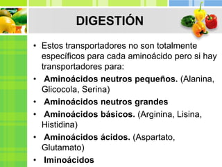 • Estos transportadores no son totalmente
específicos para cada aminoácido pero si hay
transportadores para:
• Aminoácidos neutros pequeños. (Alanina,
Glicocola, Serina)
• Aminoácidos neutros grandes
• Aminoácidos básicos. (Arginina, Lisina,
Histidina)
• Aminoácidos ácidos. (Aspartato,
Glutamato)
• Iminoácidos
DIGESTIÓN
 