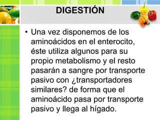 DIGESTIÓN
• Una vez disponemos de los
aminoácidos en el enterocito,
éste utiliza algunos para su
propio metabolismo y el resto
pasarán a sangre por transporte
pasivo con ¿transportadores
similares? de forma que el
aminoácido pasa por transporte
pasivo y llega al hígado.
 
