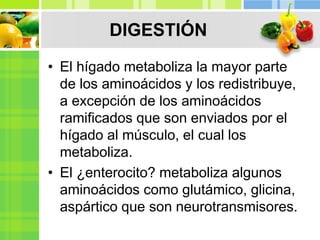 DIGESTIÓN
• El hígado metaboliza la mayor parte
de los aminoácidos y los redistribuye,
a excepción de los aminoácidos
ramificados que son enviados por el
hígado al músculo, el cual los
metaboliza.
• El ¿enterocito? metaboliza algunos
aminoácidos como glutámico, glicina,
aspártico que son neurotransmisores.
 