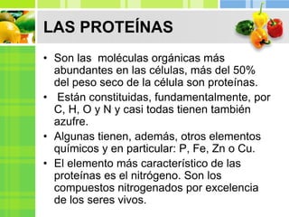 LAS PROTEÍNAS
• Son las moléculas orgánicas más
abundantes en las células, más del 50%
del peso seco de la célula son proteínas.
• Están constituidas, fundamentalmente, por
C, H, O y N y casi todas tienen también
azufre.
• Algunas tienen, además, otros elementos
químicos y en particular: P, Fe, Zn o Cu.
• El elemento más característico de las
proteínas es el nitrógeno. Son los
compuestos nitrogenados por excelencia
de los seres vivos.
 