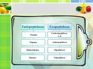 Trabajo de proteínas exposición
