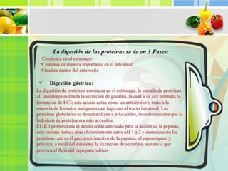 Trabajo de proteínas exposición