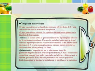 Trabajo de proteínas exposición