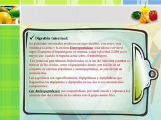 Trabajo de proteínas exposición