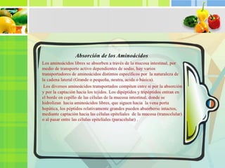 Trabajo de proteínas exposición