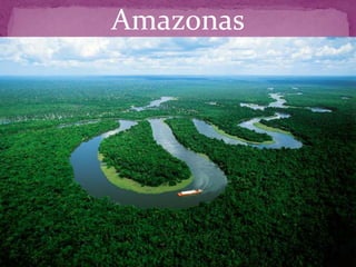 Amazonas
 