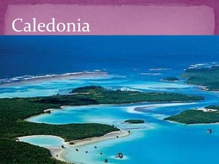 Caledonia
 