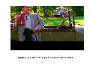 El perro se le acerca y lo que hace es retirar las manos
 