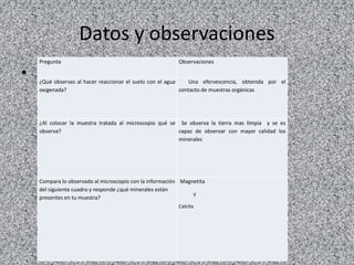 Datos y observaciones
    Pregunta                                             Observaciones

•   ¿Qué observas al hacer reaccionar el suelo con el agua     Una efervescencia, obtenida por el
    oxigenada?                                             contacto de muestras orgánicas




    ¿Al colocar la muestra tratada al microscopio qué se Se observa la tierra mas limpia y se es
    observa?                                             capaz de observar con mayor calidad los
                                                         minerales




    Compara lo observado al microscopio con la información Magnetita
    del siguiente cuadro y responde ¿qué minerales están
                                                               y
    presentes en tu muestra?
                                                         Calcita
 