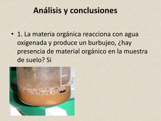 Análisis y conclusiones

• 1. La materia orgánica reacciona con agua
  oxigenada y produce un burbujeo, ¿hay
  presencia de material orgánico en la muestra
  de suelo? Si
 