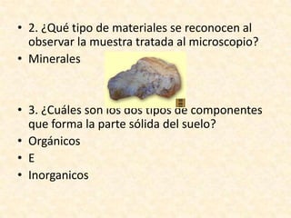• 2. ¿Qué tipo de materiales se reconocen al
  observar la muestra tratada al microscopio?
• Minerales


• 3. ¿Cuáles son los dos tipos de componentes
  que forma la parte sólida del suelo?
• Orgánicos
• E
• Inorganicos
 
