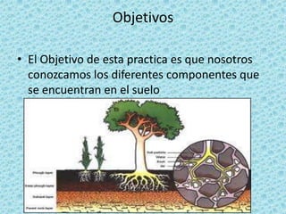 Objetivos

• El Objetivo de esta practica es que nosotros
  conozcamos los diferentes componentes que
  se encuentran en el suelo
 